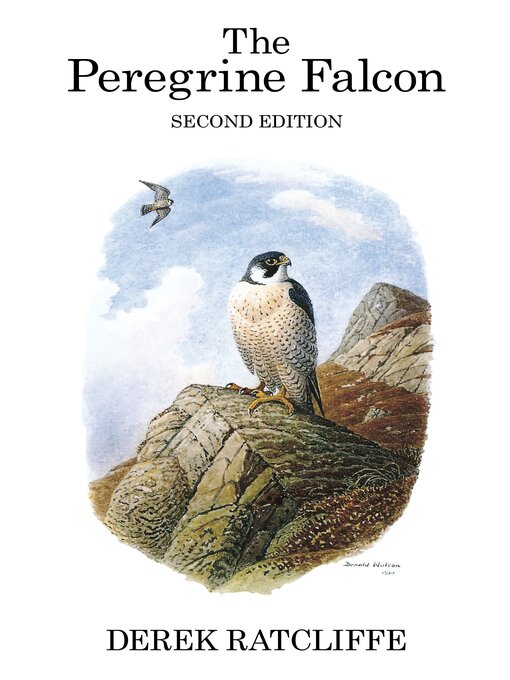 The Peregrine Falcon (eBook)